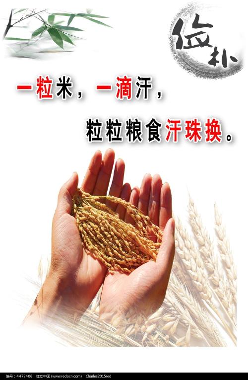 哪里可以做假银行流水单